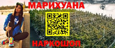 твердый Лесосибирск