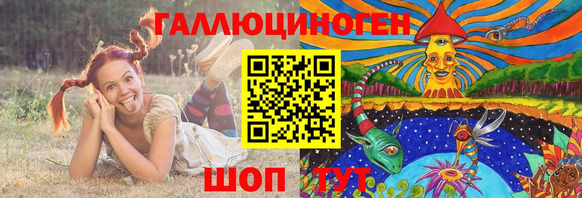 Благовещенск  Псилоцибиновые грибы ЛСД  сколько стоит  Вход с VPN  Галлюциногенные грибы Psilocybe 